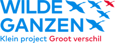 KC Jaarverslag 2022 H4 2